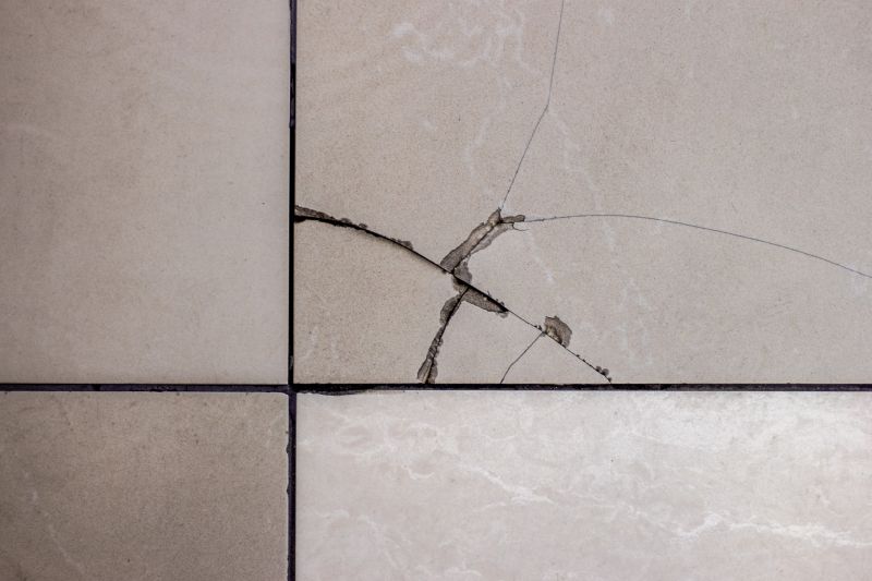 Licensed Tile Repair Services